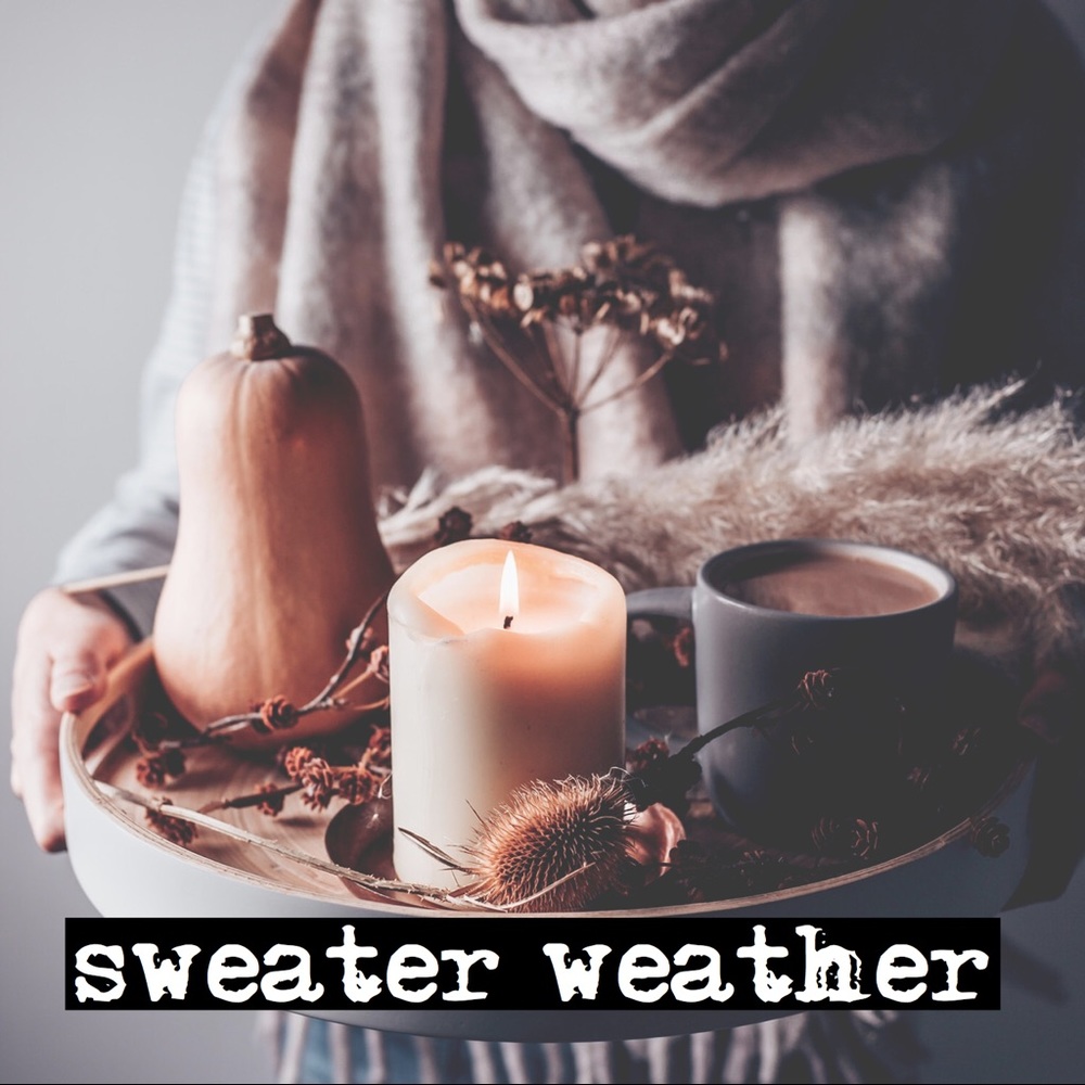 🍂 sweater weather 🍂